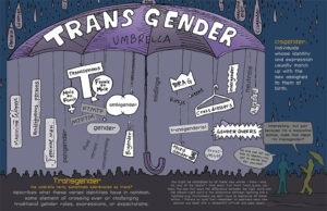 Transgender Umbrella from the Gender Book
